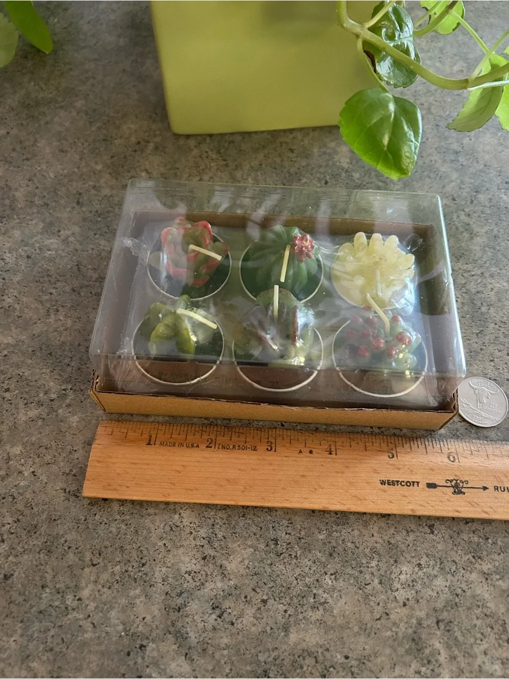 🕯️ Cactus Tealight Candles, Set of 6, Western Decor